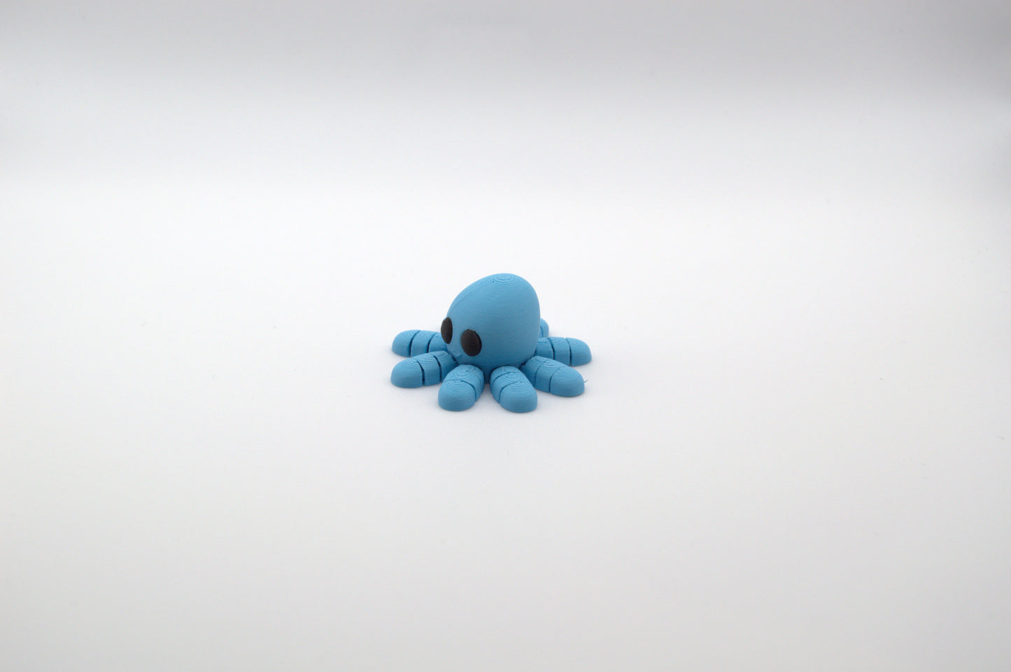 Cute Baby Octopus