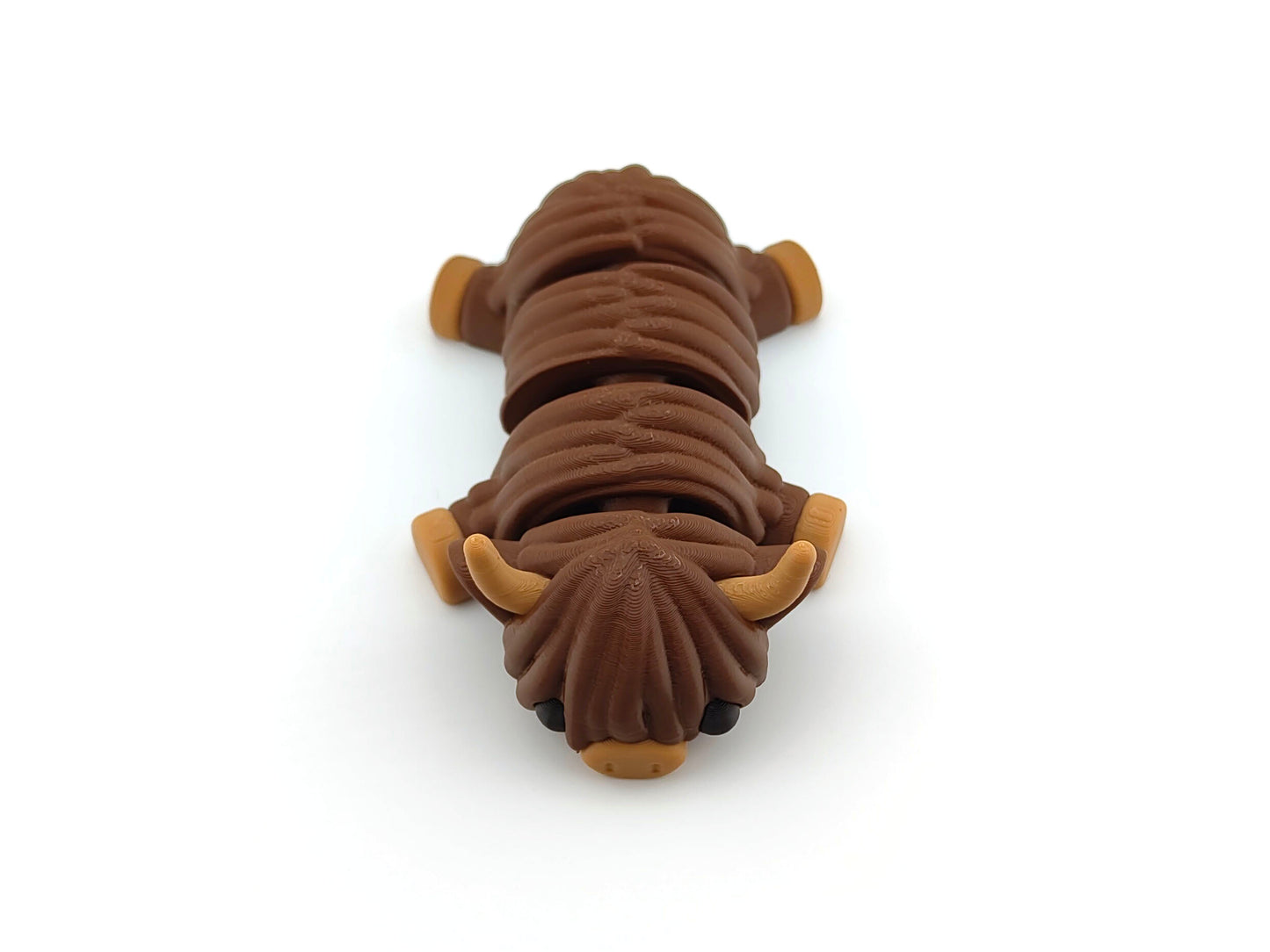 Cute Baby Cow (Highland)