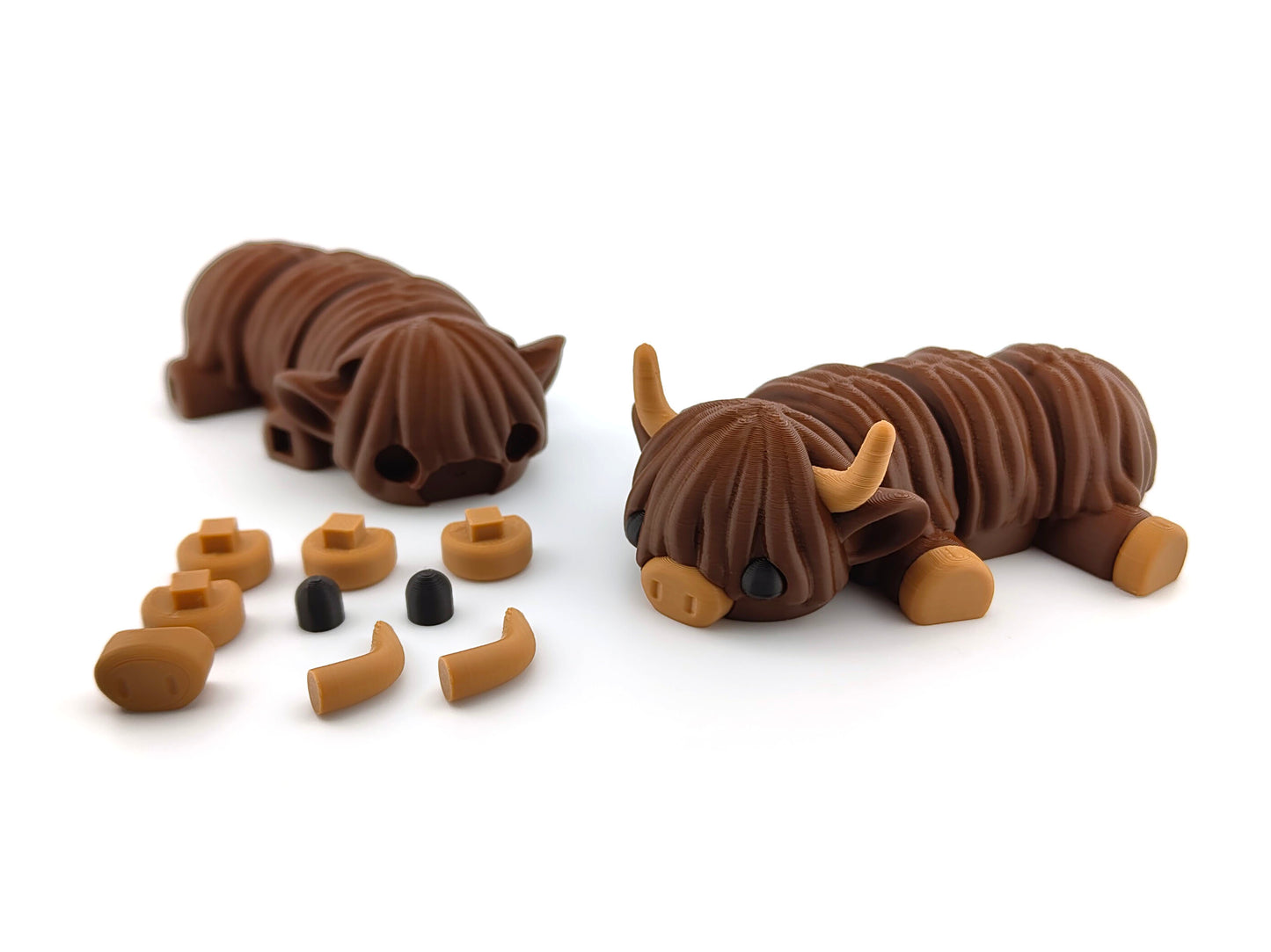 Cute Baby Cow (Highland)